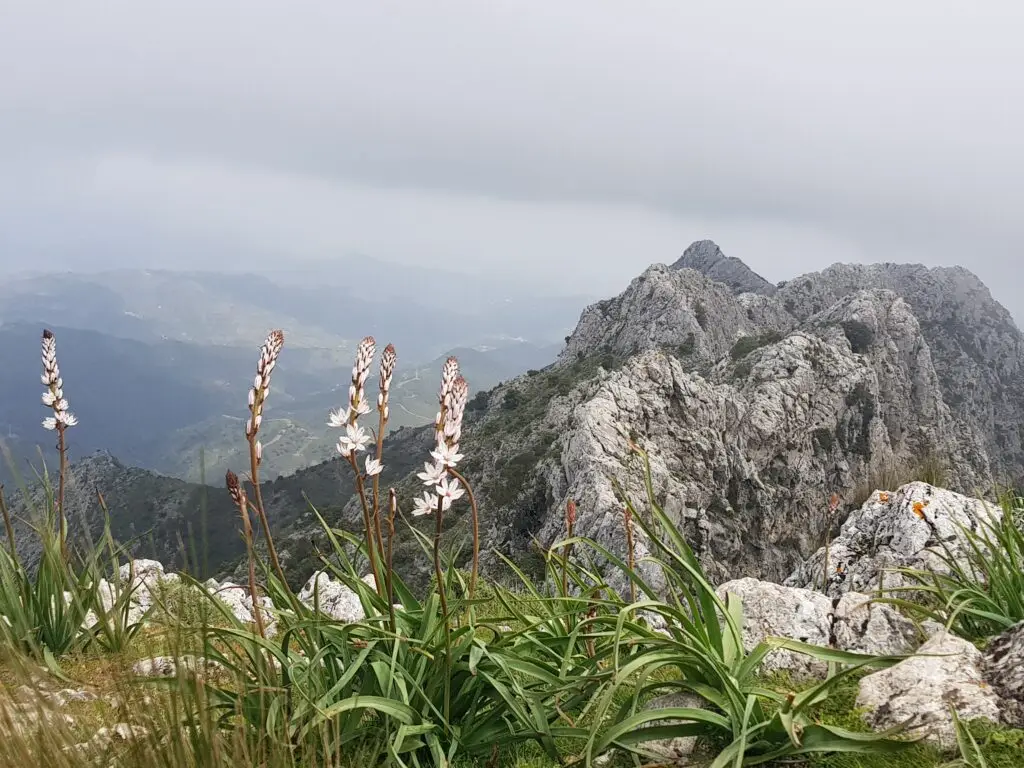 portada senderismo sierra de la nieves