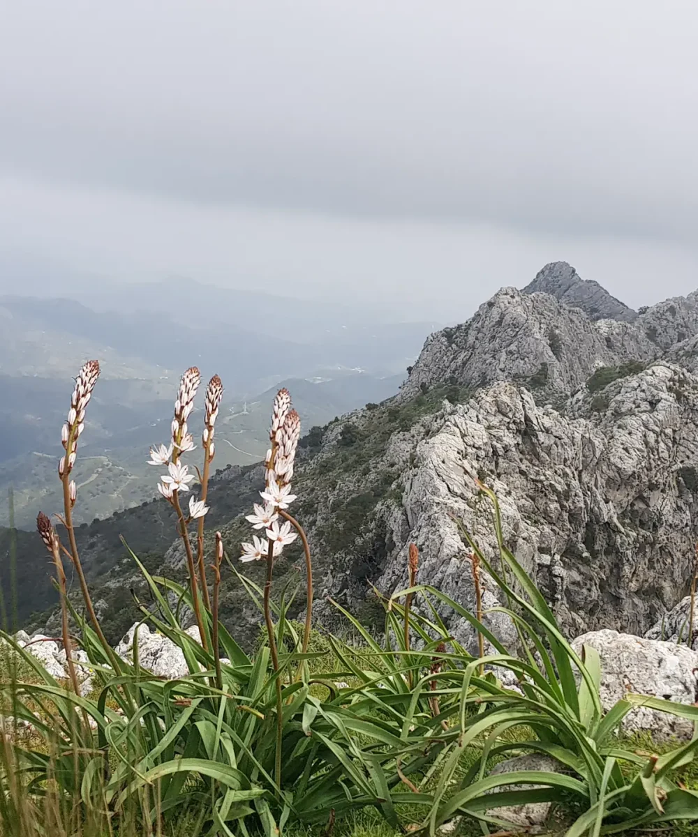 portada senderismo sierra de la nieves