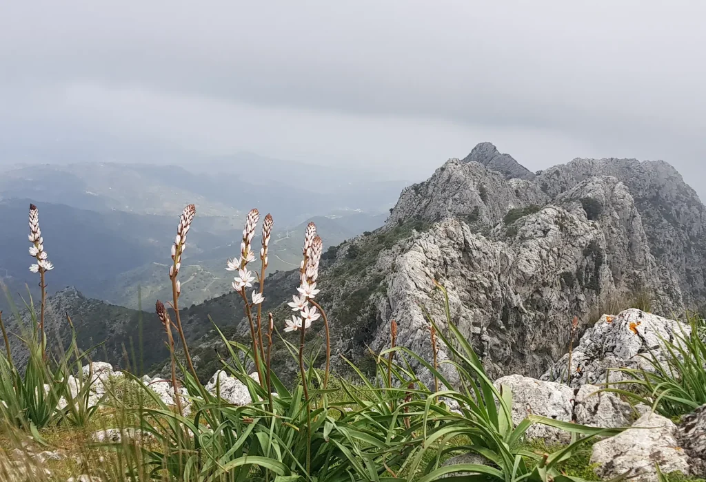 portada senderismo sierra de la nieves
